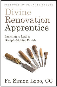 Divine Renovation Apprentice