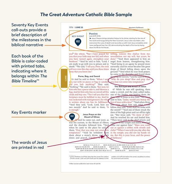 The Great Adventure Catholic Bible (leather version - English or Spanish)