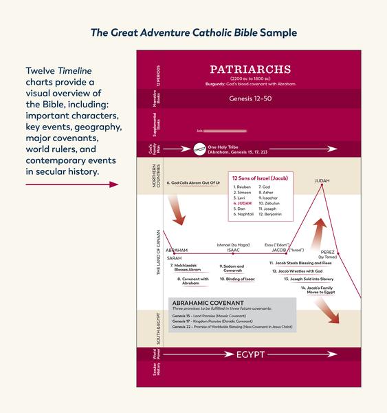 The Great Adventure Catholic Bible (leather version - English or Spanish)