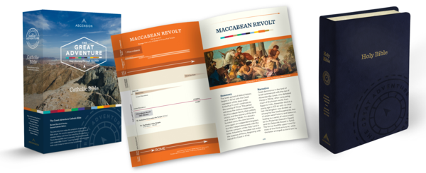 The Great Adventure Catholic Bible (leather version - English or Spanish)