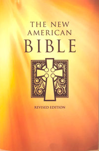 New American Bible (deluxe burgundy)