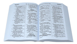 St. Joseph NABRE Bible (Giant Type)