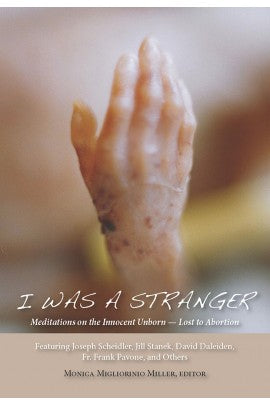 I Was A Stranger; Meditations on the Innocent Unborn - Lost to Abortion