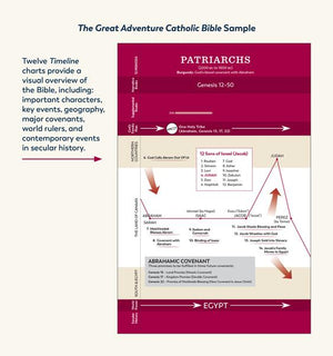 AAA The Great Adventure Catholic Bible (leather version - English or Spanish)