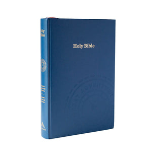 AAA The Great Adventure Catholic Bible (Large Print)