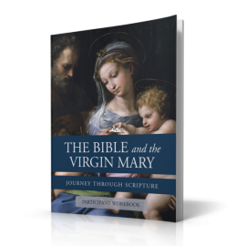 The Bible and the Virgin Mary Workbook
