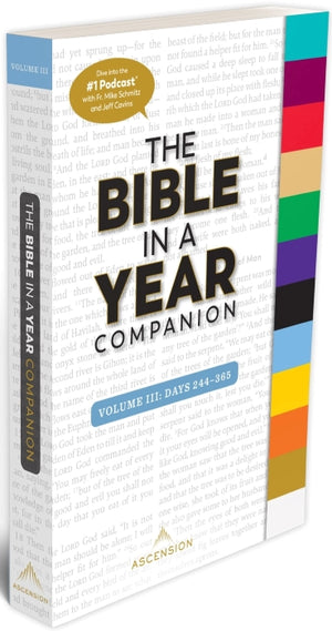 Bible in a Year Companion - Vol III